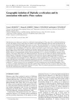 Geographic isolation of Diplodia scrobiculata