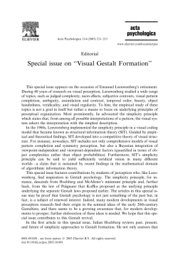 Special issue on ``Visual Gestalt Formation``