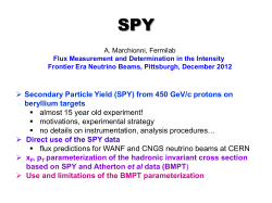 Secondary Particle Yield (SPY) from 450 GeV/c protons on beryllium