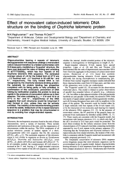 Effect of monovalent cation-induced telomeric DNA structure on the