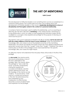 THE ART OF MENTORING