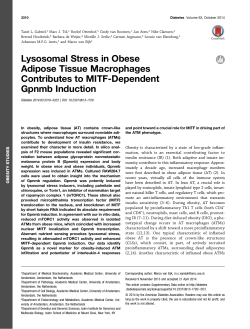 Lysosomal Stress in Obese Adipose Tissue