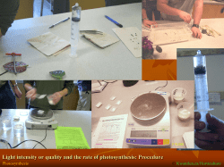 Light intensity or quality and the rate of photosynthesis: Procedure