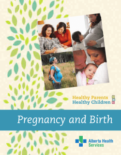 Pregnancy and Birth