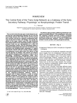 The Central Role of the Trans-Golgi Network as a Gateway of