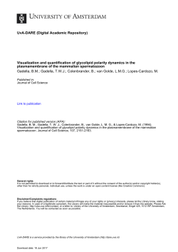 Visualization and quantification of glycolipid polarity dynamics in the