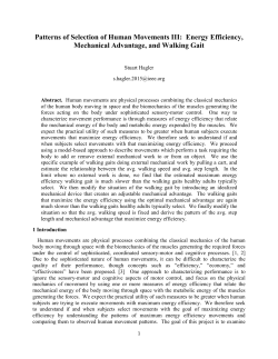 Energy Efficiency, Mechanical Advantage, and