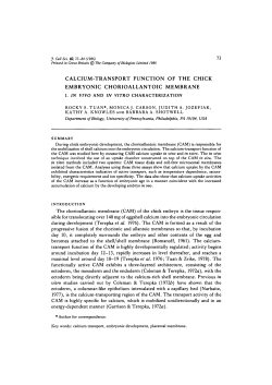 calcium-transport function of the chick embryonic chorioallantoic