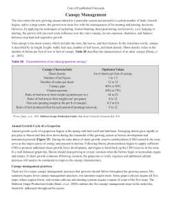 Canopy Management - Minnesota Grape Growers Association