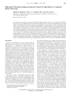 High-Speed Vibrational Imaging and Spectral Analysis of Lipid