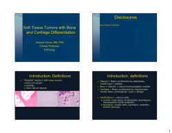 Soft Tissue Tumors With Bone And Cartilage Differentiation