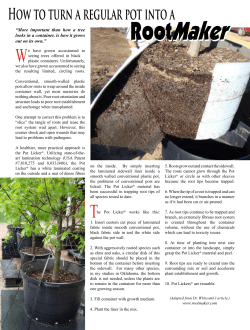 How to Turn a Regular Pot into a RootMaker