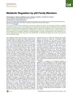 Metabolic Regulation by p53 Family Members