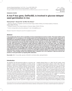 A rice F-box gene, OsFbx352, is involved in glucose