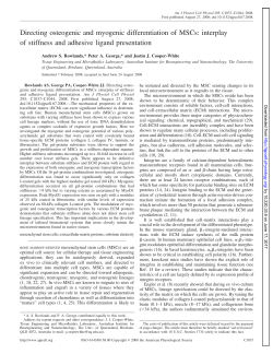 Directing osteogenic and myogenic differentiation of - AJP-Cell