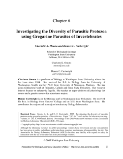 Investigating the Diversity of Parasitic Protozoa using