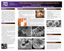 Pollen Morphology and Fertilization in Leptosiphon Species