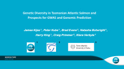 Genetic Diversity in Tasmanian Atlantic Salmon and