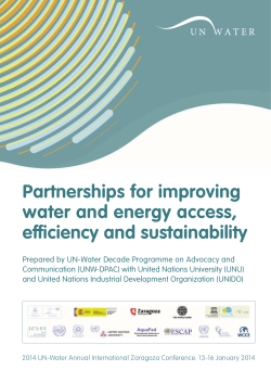 Final report: Partnerships for improving water and energy access