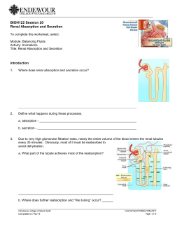 BIOH122 Session 20 Renal Absorption and Secretion
