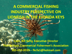 a commercial fishing industry perspective on lionfish in the florida keys