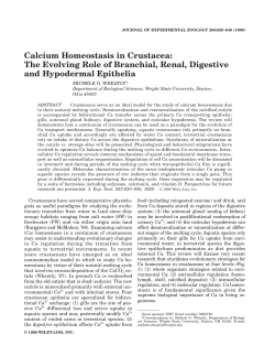 Calcium homeostasis in crustacea: The evolving role of branchial