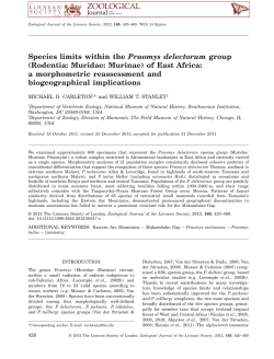 Species limits within the Praomys delectorum group