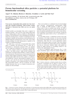 Porous functionalised silica particles