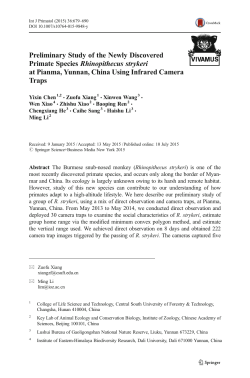 Preliminary Study of the Newly Discovered Primate Species