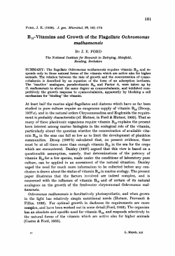 B,,-Vitamins and Growth of the Flagellate