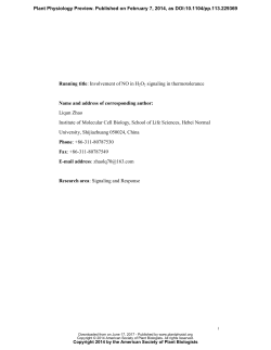 Hydrogen Peroxide Acts Upstream of Nitric Oxide in the Heat Shock