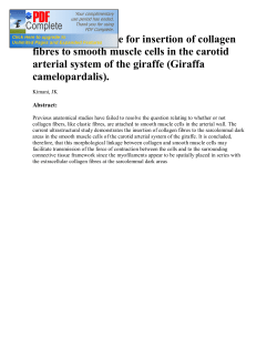 Abstract - UoN Repository