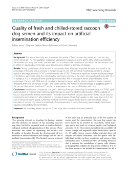 Quality of fresh and chilled-stored raccoon dog semen and its impact
