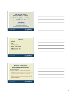 1 Agenda External Audit Liaison What Does It Mean to YOU?