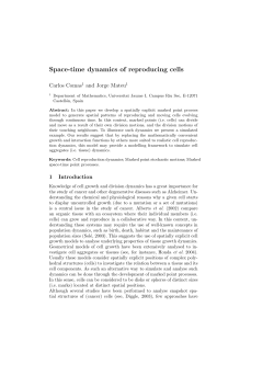 Space-time dynamics of reproducing cells