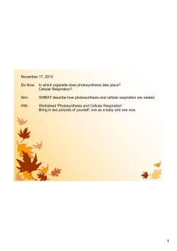 1 November 17, 2010 Do Now: In which organelle does