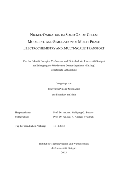 nickel oxidation in solid oxide cells: modeling