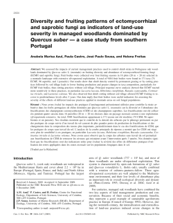 Diversity and fruiting patterns of ectomycorrhizal and saprobic fungi