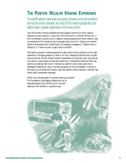 Positive Wildlife Viewing Experiences