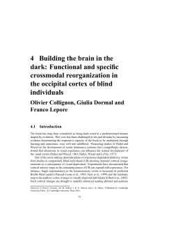 4 Building the brain in the dark: Functional and specific crossmodal