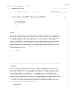 Module 39 / Macromolecules of the Respiratory System