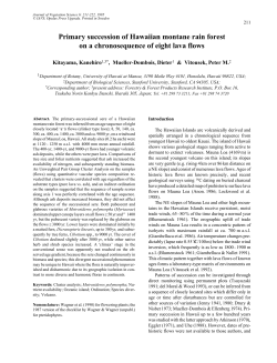 Primary succession of Hawaiian montane rain forest on a