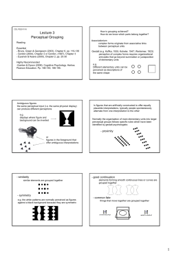 Lecture 3 Perceptual Grouping