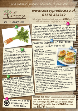 Bunch Carrots - Cossey Produce