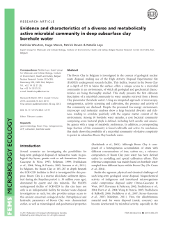 Evidence and characteristics of a diverse and metabolically active