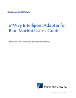 e*Way Intelligent Adapter for Blue Martini User`s Guide