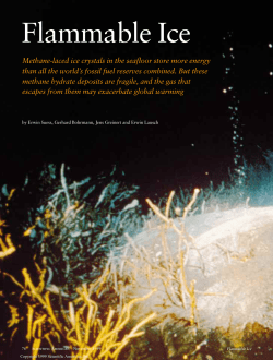 Flammable Ice - Academic Program Pages