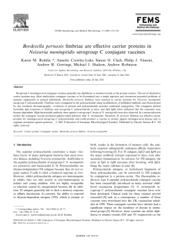 Bordetella pertussis fimbriae are effective carrier proteins in