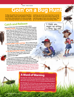 Goin` on a Bug Hunt