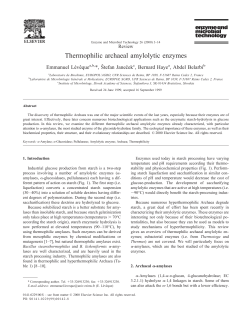 Thermophilic archaeal amylolytic enzymes
